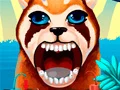 Become An Animal Dentist