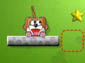 Meet Puppy