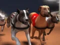 Greyhound Racing Greyhound Racing