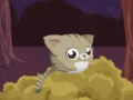 Jump Kitty