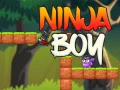 Ninja Boy