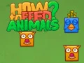 How to Feed Animals? How to Feed Animals?