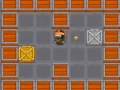 Ninja vital Treasure