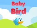 Baby Bird Baby Bird