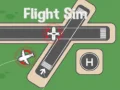 Flight Sim
