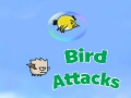 Birds Attacks Birds Attacks