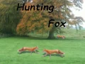 Hunting Fox