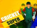 Super Cricket Super Cricket