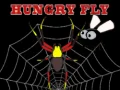 Hungry fly Hungry fly