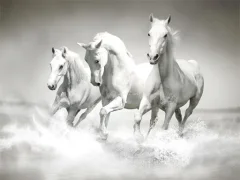 Horses Puzzle — 무료 온라인 게임
