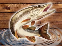 Spill Fish Rain online