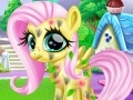 Little Pony Caretaker Little Pony Caretaker