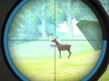 Hunter Training