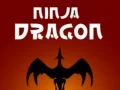 Ninja Dragon