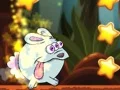 Jungle Adventure Jungle Adventure