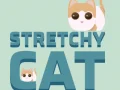Stretchy Cat
