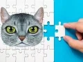 Abyssinian Puzzle Challenge Abyssinian Puzzle Challenge