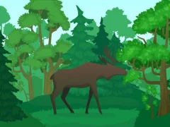 Wild Animals Coloring — free online game