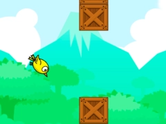 Flight Bird