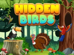 Spel Hidden Birds på nätet