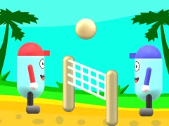 Igra Beach Volleyball spletu