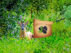 Return To Alsunga Forest — لعبة مجانية اون لاين