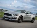 Mustang Shelby Puzzle Mustang Shelby Puzzle