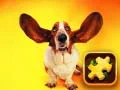 Funny Dogs Puzzle Funny Dogs Puzzle