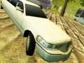 Limousine Driver Limousine Driver