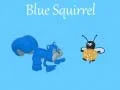 Blue Squirrel Blue Squirrel