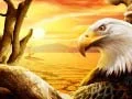 Eagle Eagle