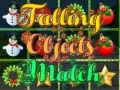 Falling Objects Match 