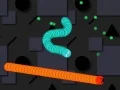 Snake Worm Snake Worm