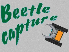 Beetle Capture — 무료 온라인 게임
