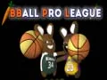 Bball pro league