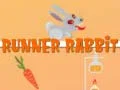 Runner Rabbit