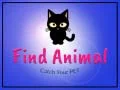 Find Animal Find Animal