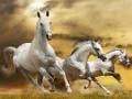 Running Horse Slide Running Horse Slide