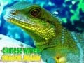 Chinese Water Dragon Jigsaw