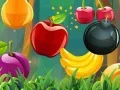 Fruit Cutting Fruit Cutting