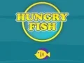 Hungry Fish