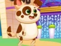 Lovely Virtual Dog