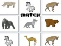 Match