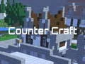 Counter Craft Counter Craft