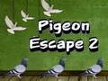 Pigeon Escape 2