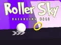 Roller Sky Balance Ball Roller Sky Balance Ball
