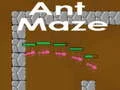 Ant maze