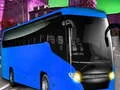 Public Bus Passenger