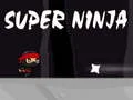 Super ninja