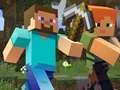 Minecraft Hidden Items